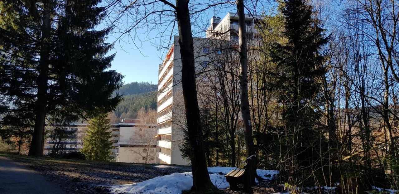 Ferienwohnung Tannenballett Im Schwarzwald Байрсброн Экстерьер фото