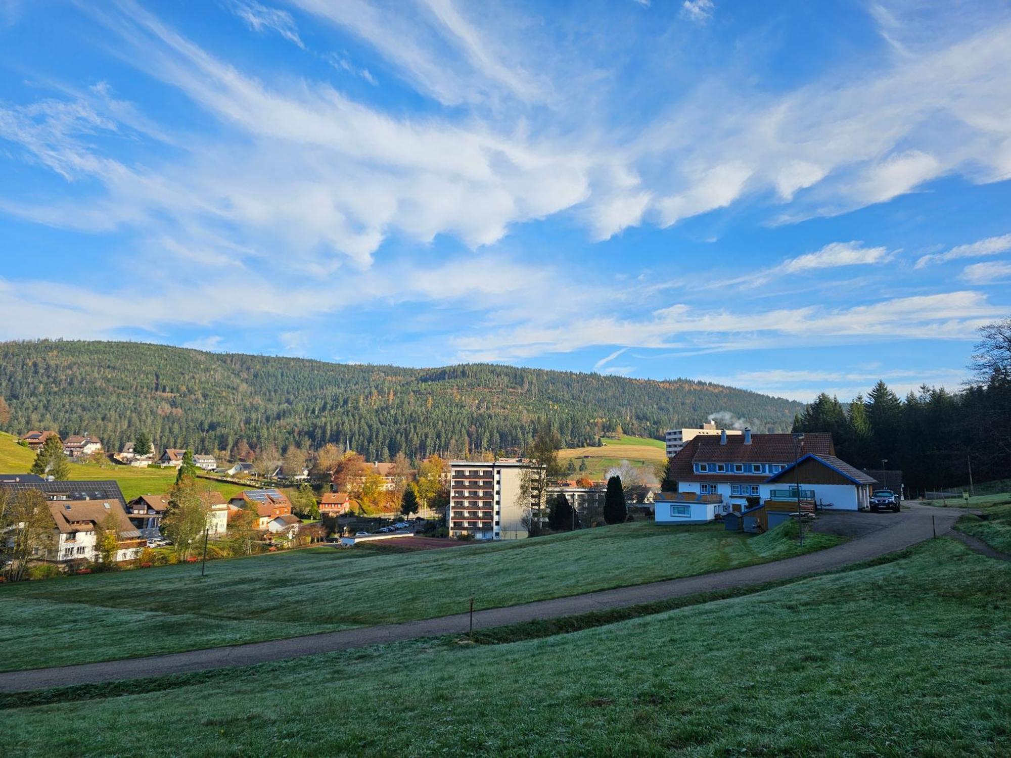 Ferienwohnung Tannenballett Im Schwarzwald Байрсброн Экстерьер фото