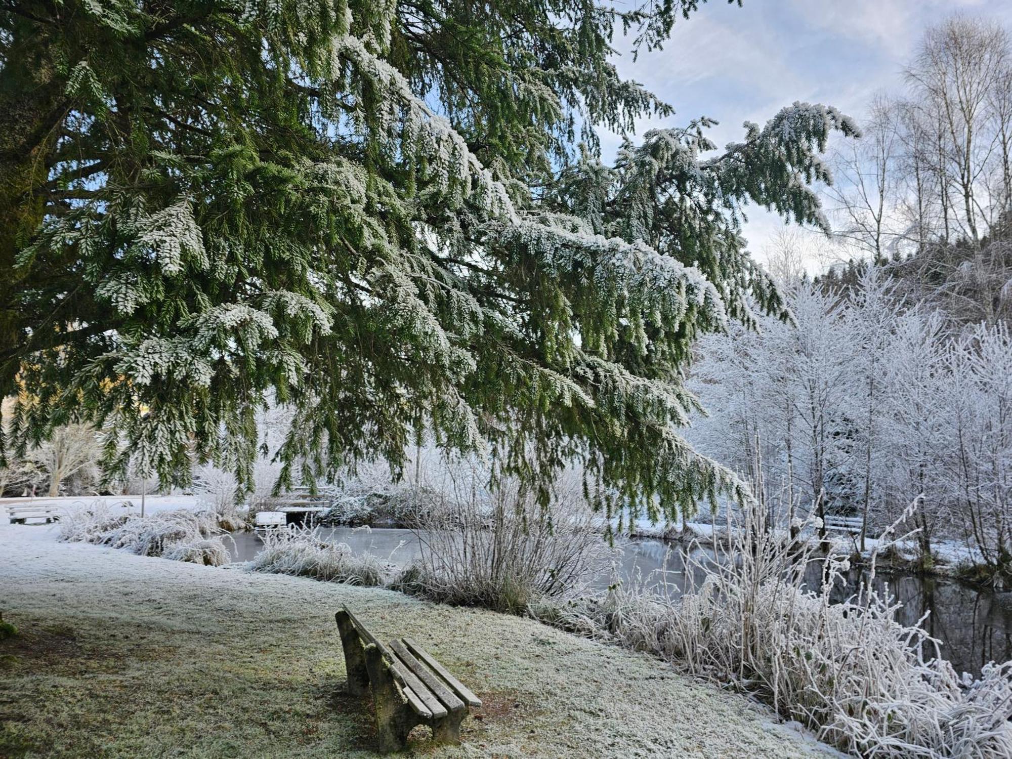 Ferienwohnung Tannenballett Im Schwarzwald Байрсброн Экстерьер фото